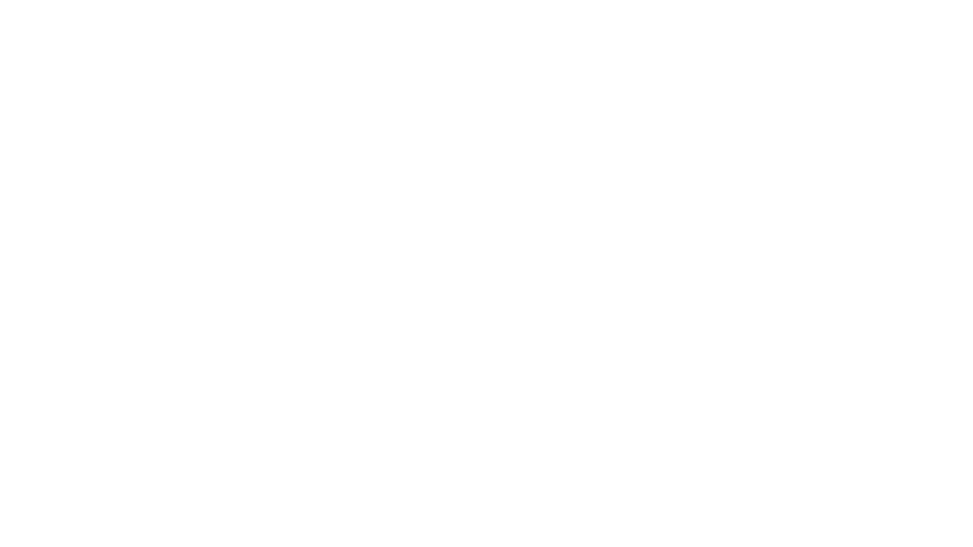 Turtle Logo